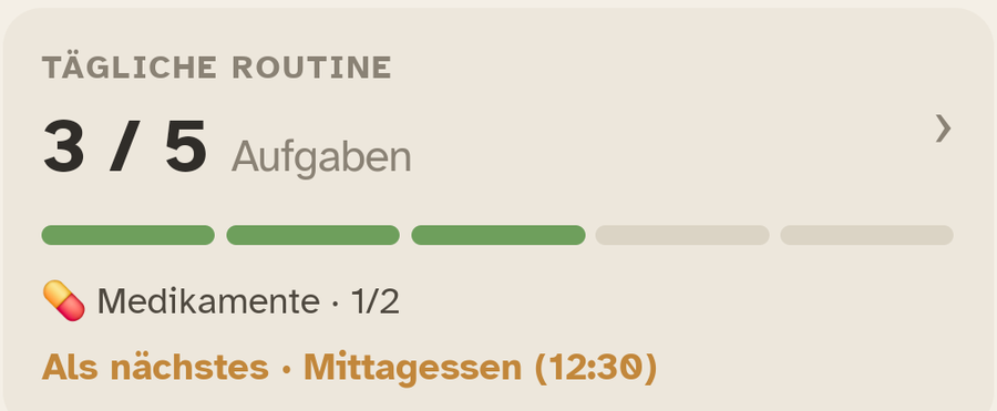 Der Block „Routine des Tages“ in Ally Companion: der Fortschritt der Aufgaben des Tages.