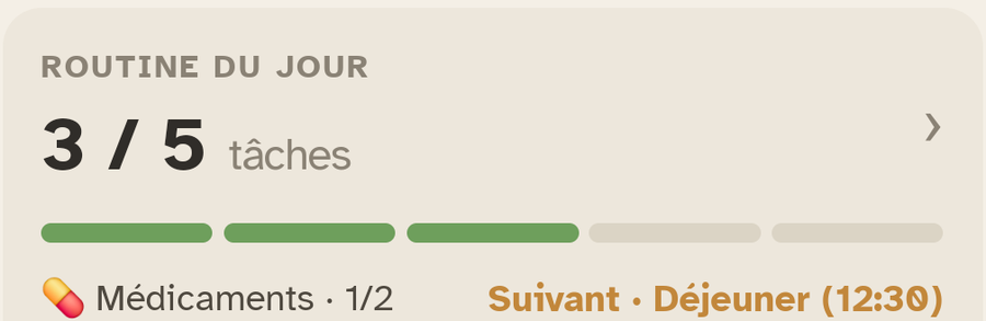 Le bloc « Routine du jour » d'Ally Companion : la progression des tâches de la journée.